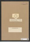 Actinoptychus sp. (de-Toni-Nr.: Genus 227) Zeichnungen Sammlung Grunow Nr. 9535 (NHMW-BOT-W0379529)
